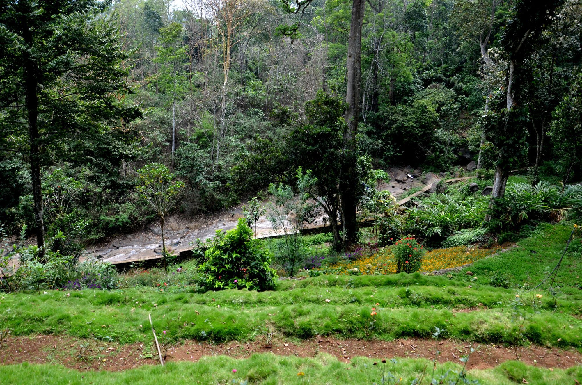 Bamboo Dale Otel Munnar Dış mekan fotoğraf